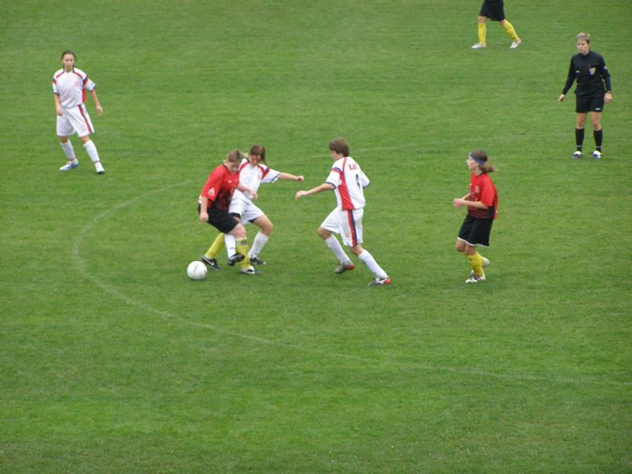 PA110208.JPG